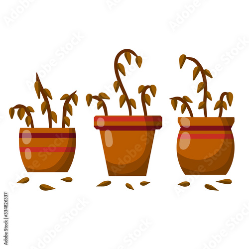 Dead houseplant. Dry leaves. Set of plants in pot. Forgotten bush. Element of room. Brown trunk. Cartoon flat illustration