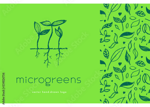 Vector hand-drawn emblem for agricultural logo with  hydroponic concept. Eco emblem with growing leaf for label of baby plants. Growth icon with microgreens for bio company and home cultivating.