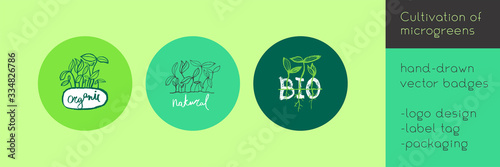 Vector hand-drawn emblem for agricultural logo with  hydroponic concept. Eco emblem with growing leaf for label of baby plants. Growth icon with microgreens for bio company and home cultivating.