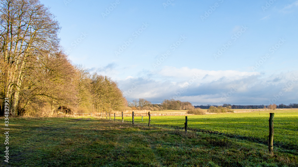 Fototapeta premium landscape with green field and blue sky