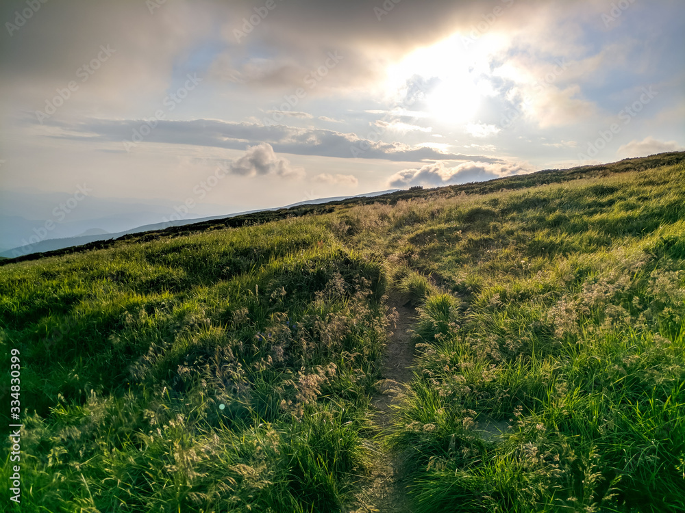 Naklejka premium Nature of the Carpathian Mountains