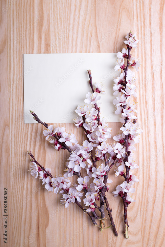 sprigs of blossoming apricot on a wooden background