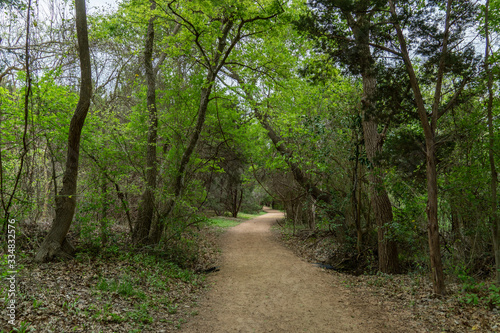 Dirt Walking Path Through a Dense Vegetation Park With Cloudy Day