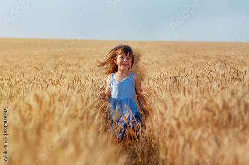 little red-haired girl in a blue dress runs happily through gold field of wheat. Summer concept