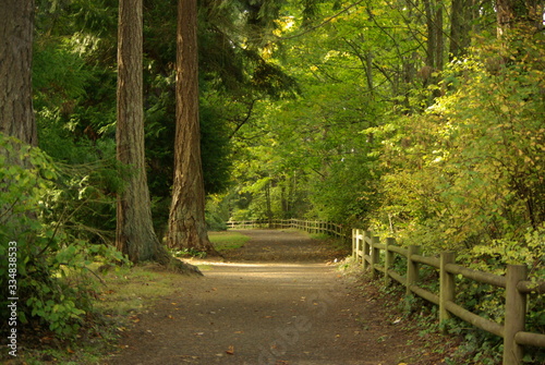 At thePark