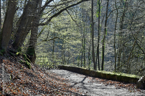 frühling im morgenbachtal