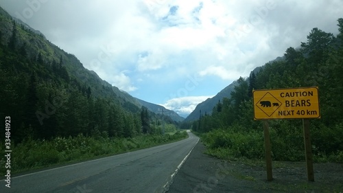 Alaska Highway Bear