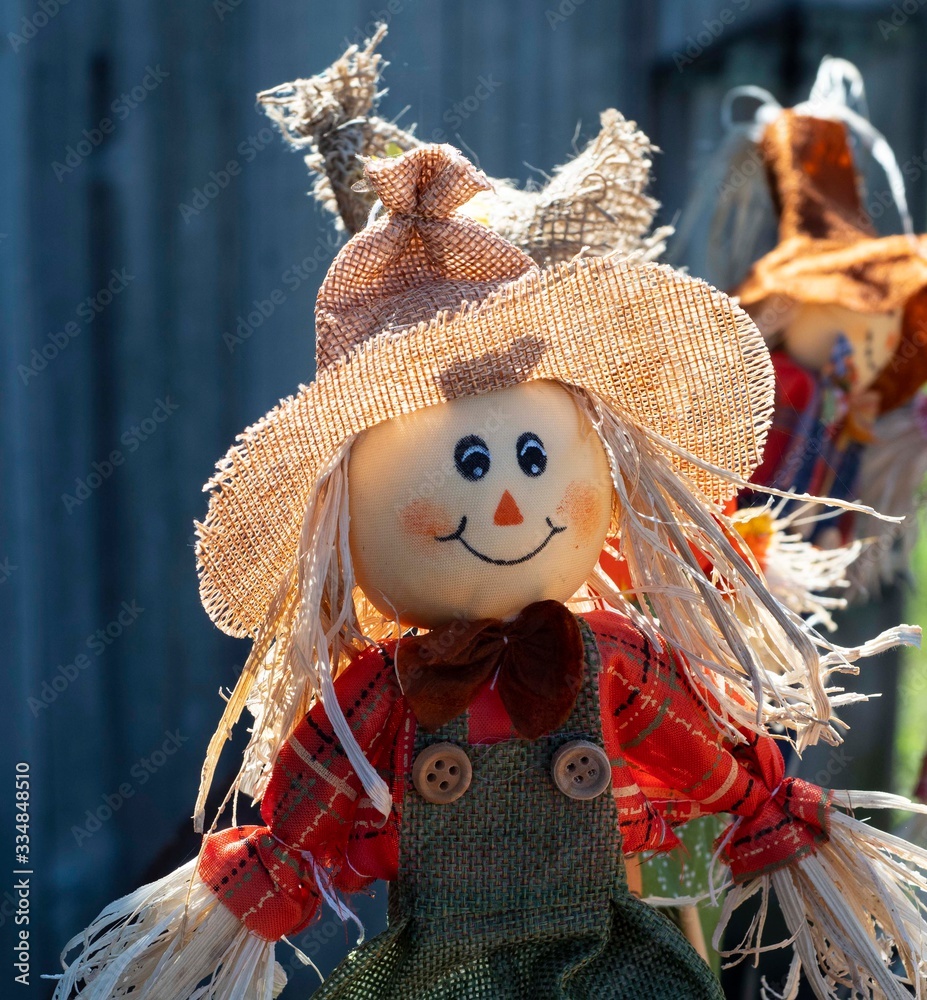 Not scary scarecrow