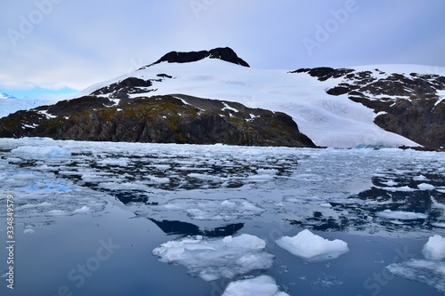 Cierva Cove , Antarctica 