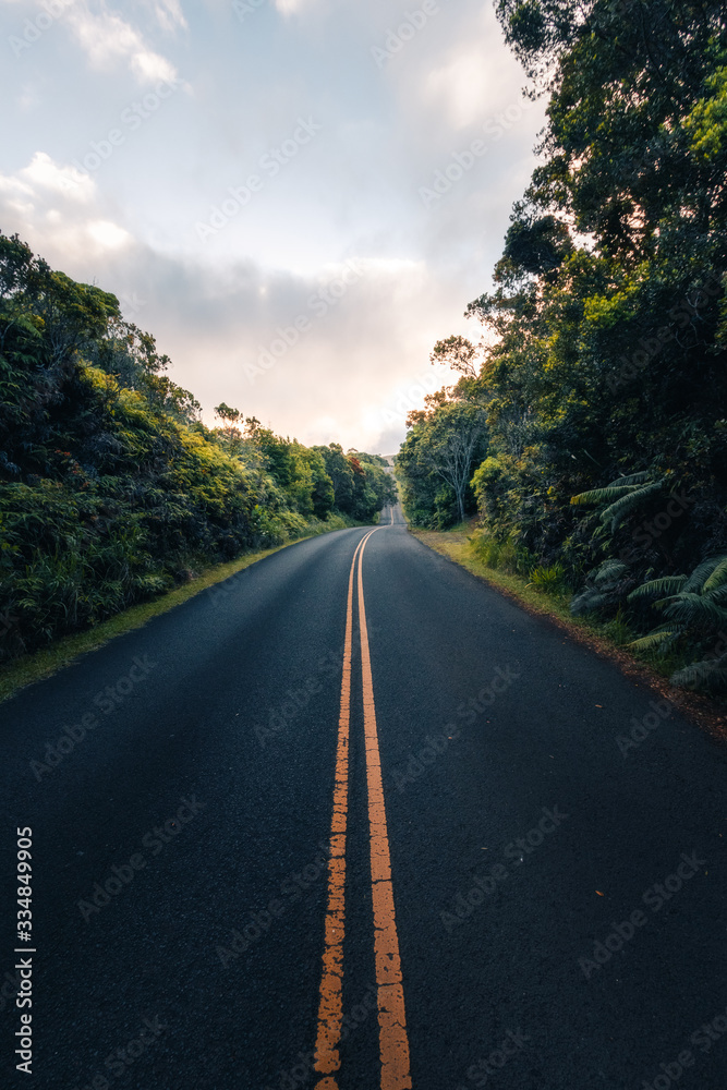 A beautiful scenic road of paradise called Hawaii. The road of Na Pali Coast in island of Kauai. Tourism in the United States of America. Hawaiian tropical paradise worth your visit