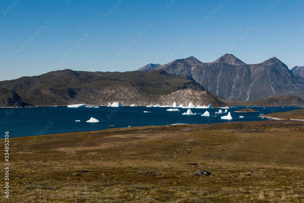 Floating icebergs in bay. Greenland