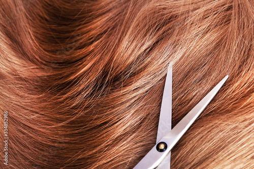 Natural bright brown hairs and scissors lying on it.Selective focus.Top view.Concept of background,hair care,cutting.