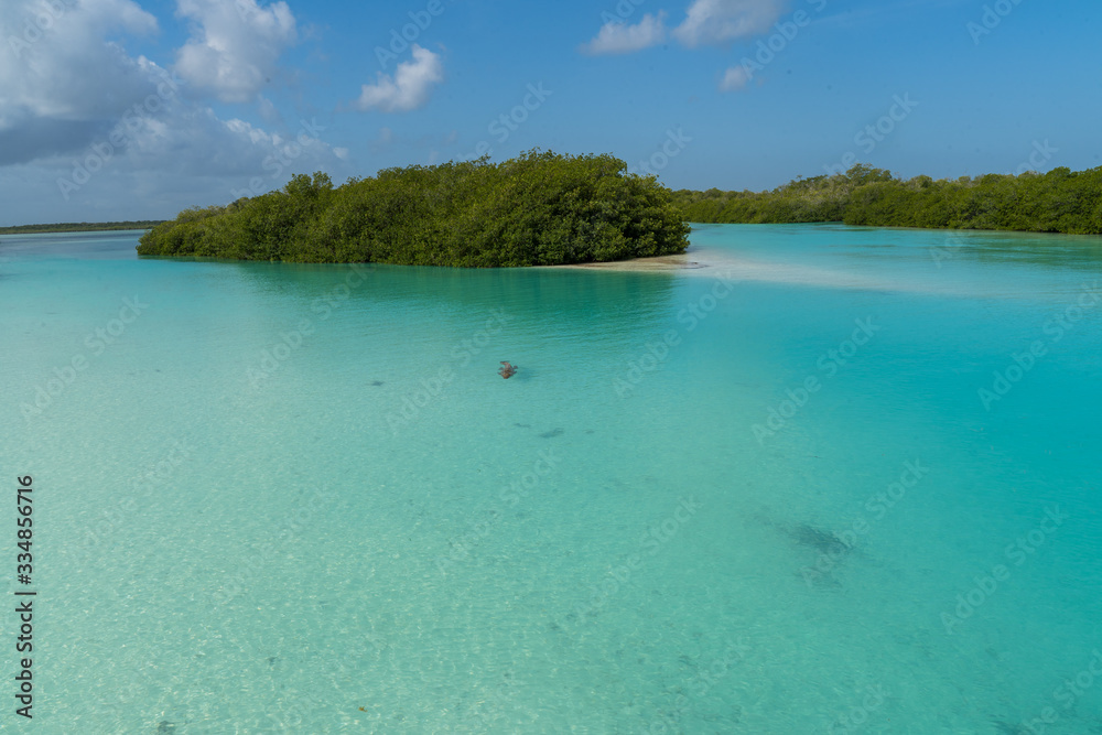 Fototapeta premium van life paradise view