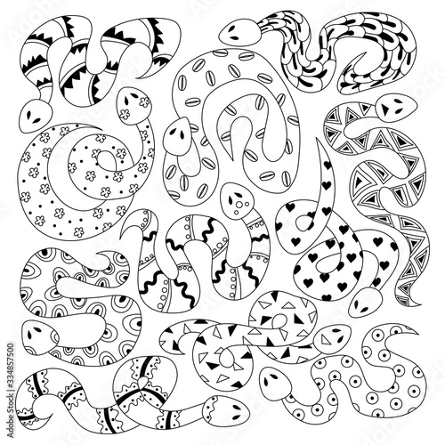 Set stylized snake on white background. Pattern of reptile.Collection of snake. Coloring books. Line art. Flat design. Hand-drawn. Vector Illustration.