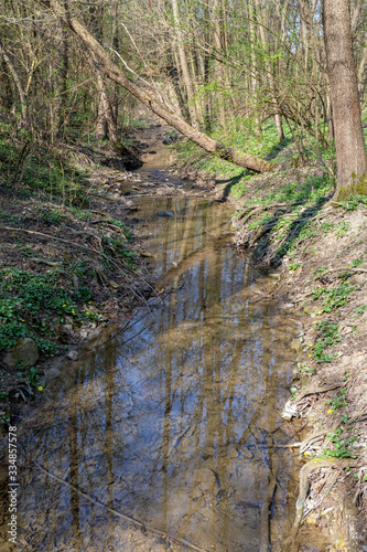 Small creek in the Buda mountains near the village Solymar, Hungary.