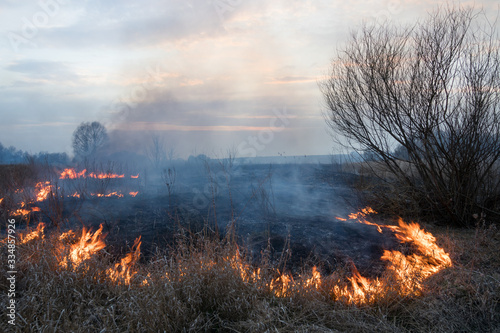 burning grass in a meadow © Oleg Suhoveev