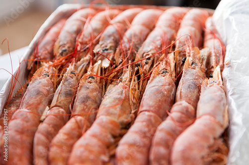 Fresh raw and frozen langoustines lying in box, close-up view photo