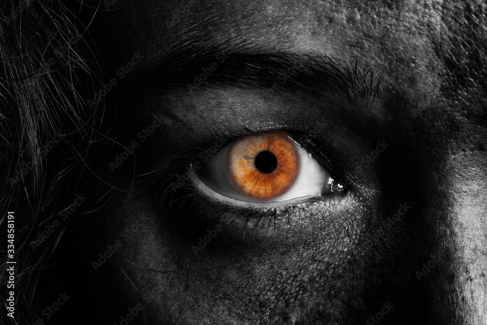eye macro eye macro
