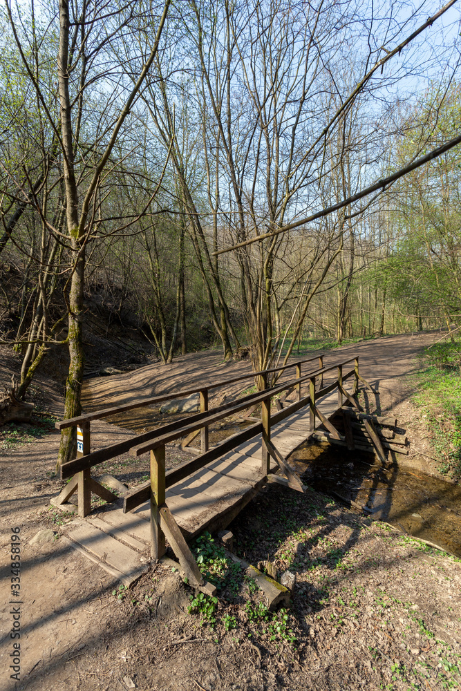 Small wooden bridge in the Buda mountains near the village Solymar, Hungary.