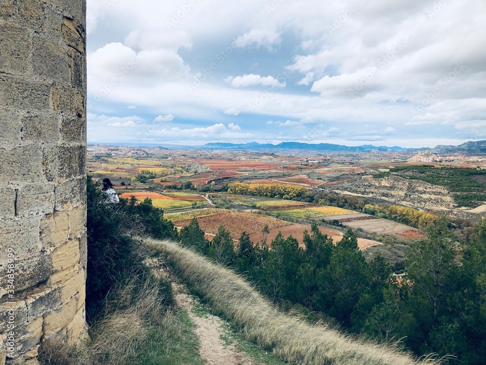 La rioja at auttum La rioja at auttum