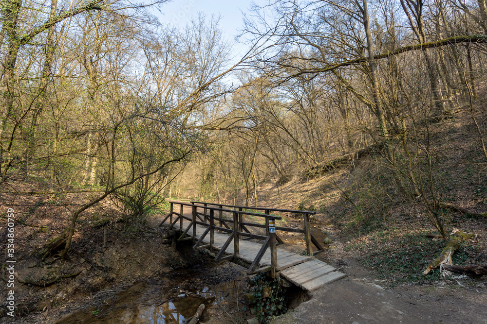 Small wooden bridge in the Buda mountains near the village Solymar, Hungary. Small wooden bridge in the Buda mountains near the village Solymar, Hungary.