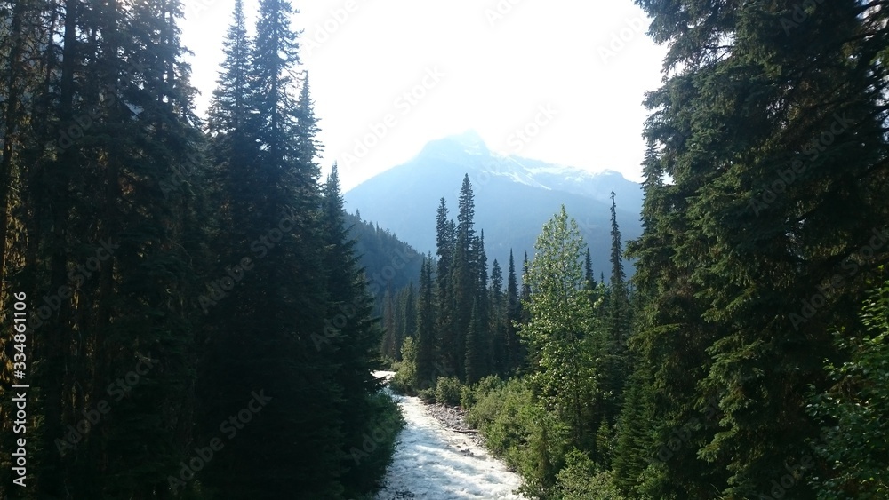 Obraz premium lake in forest