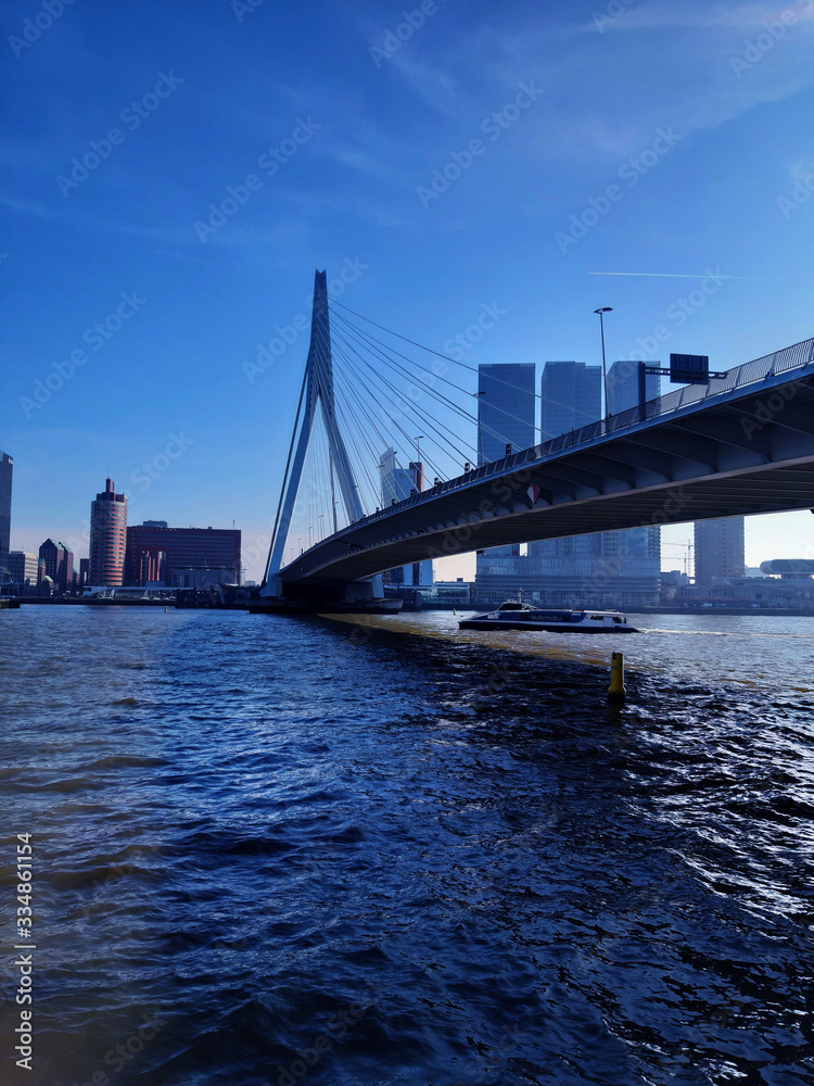 blue panorama of the Erasmus bridge from Rotterdam on the river
