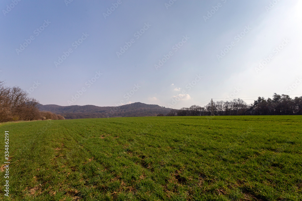 Green field in the Buda mountains, near Solymar, Hungary.