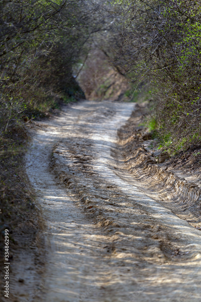 Fototapeta premium Dirt road in the Buda mountains