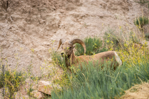 Badlands National Park in South Dakota