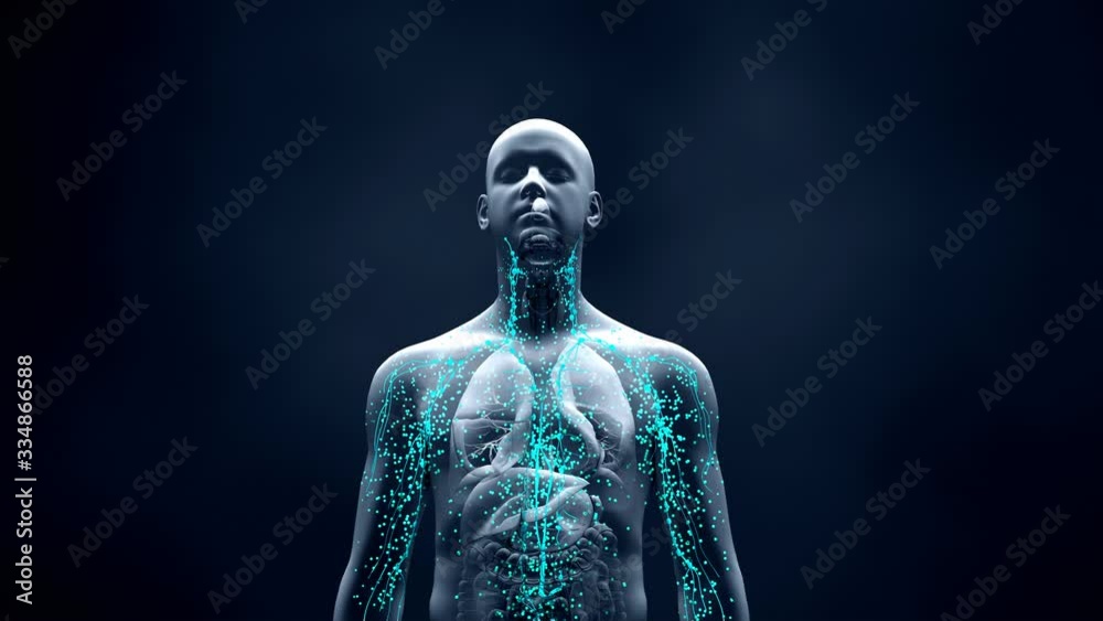 Immune system defends the body against infections and diseases