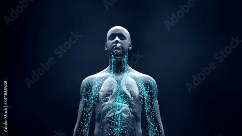 Immune system defends the body against infections and diseases