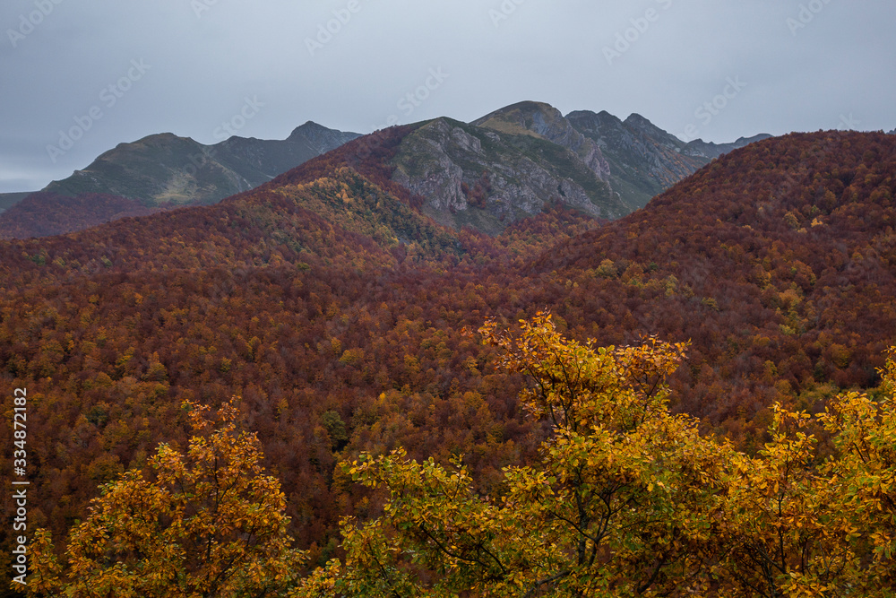 Montañas y bosques durante el otoño