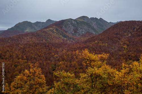 Montañas y bosques durante el otoño