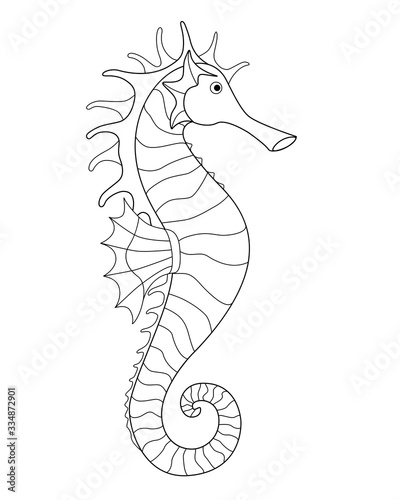 Seahorse - an inhabitant of the ocean - vector linear picture for coloring. Fish seahorse - underwater life for a coloring book. Outline. Hand drawing.