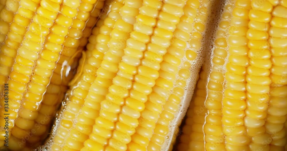 Corn boiling in water with air bubbles. Corn boiling in water with air bubbles.