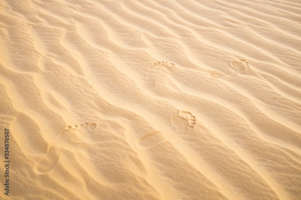Footsteps in the Sand - Barefoot in the Desert Footsteps in the Sand - Barefoot in the Desert