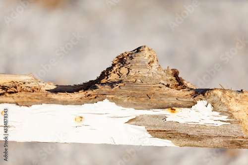 fence that has been torn apart by horses photo