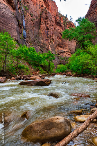 View up stream of Virgin River in Zion National Park