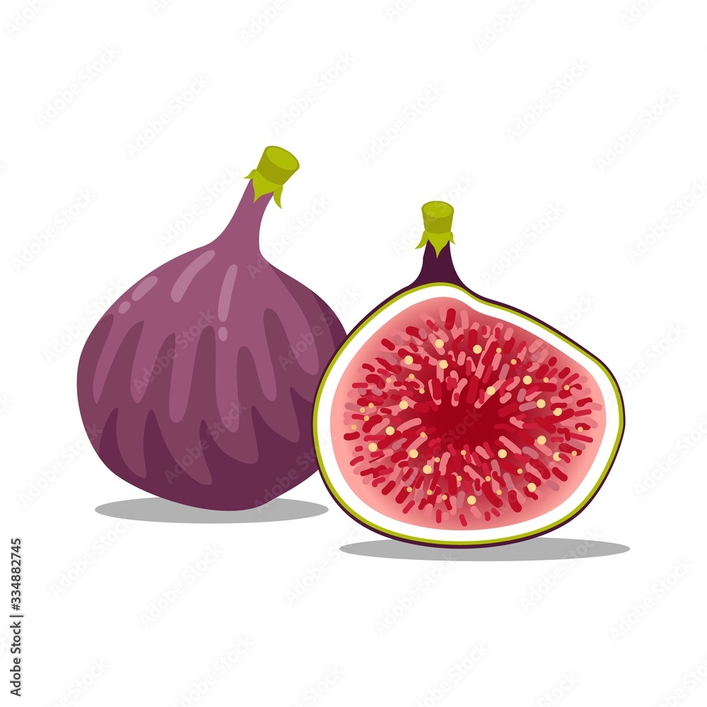 Vector of fresh and half cut slice figs on isolated on white background. Collection
