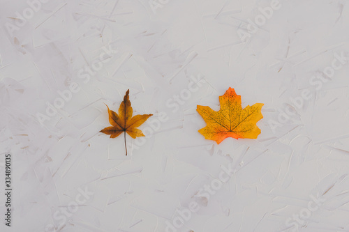 real vs fake concept, real autumn maple leaf vs plastic replica photo