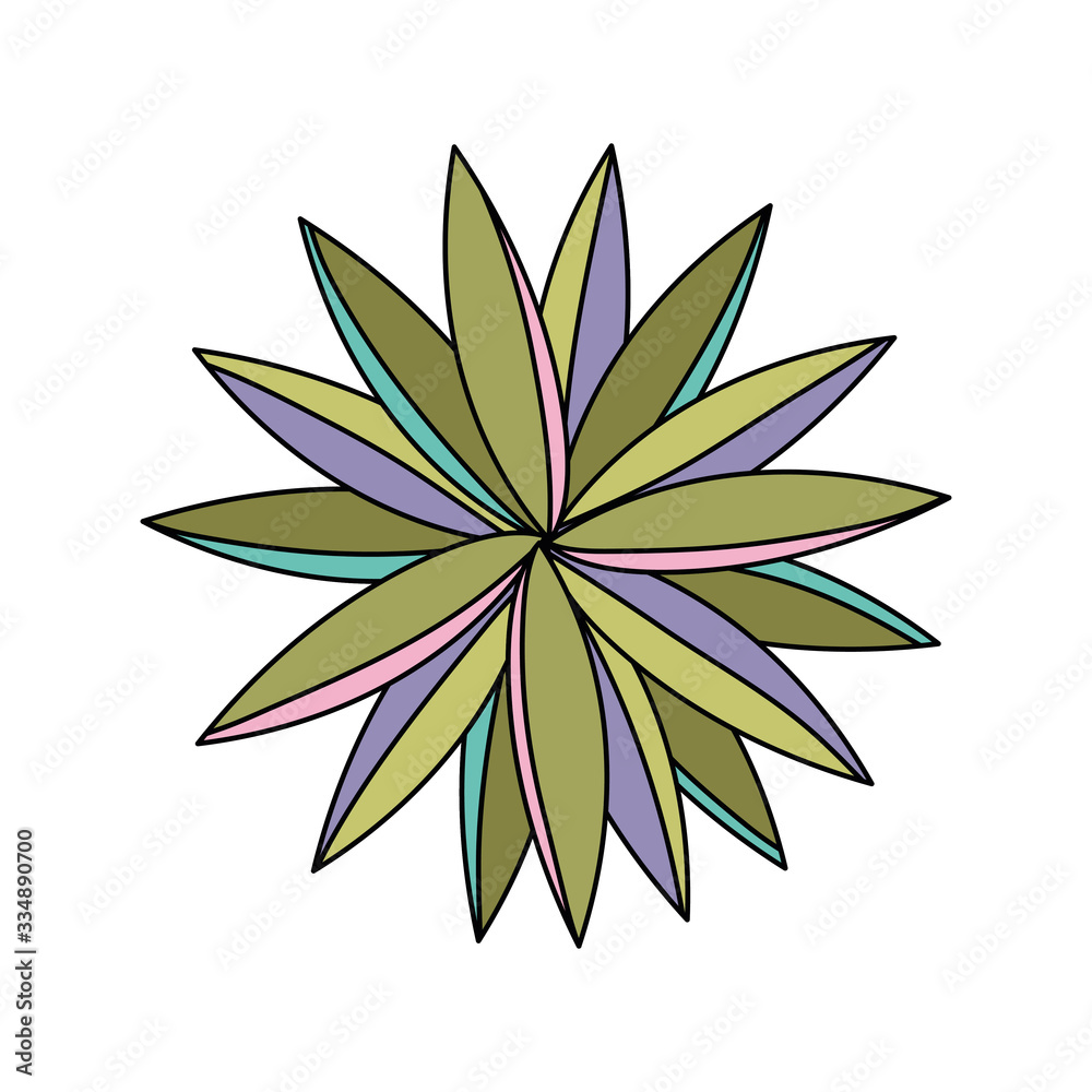Isolated botanical leaves circle vector design