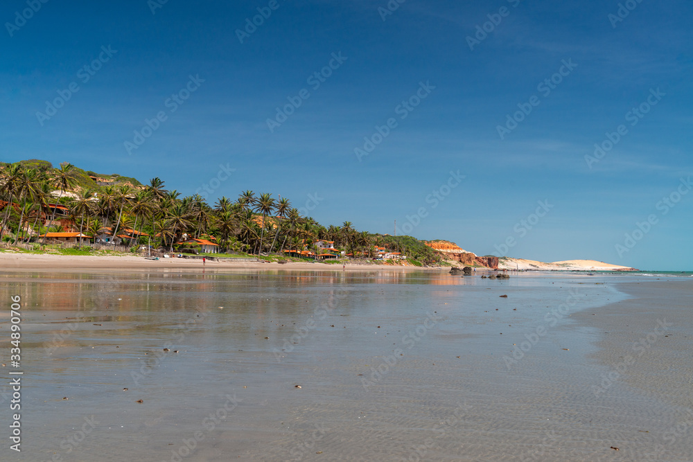 Coconut palms and summer houses in Peroba beach, Icapui, Ceara, Brazil on April 23, 2016