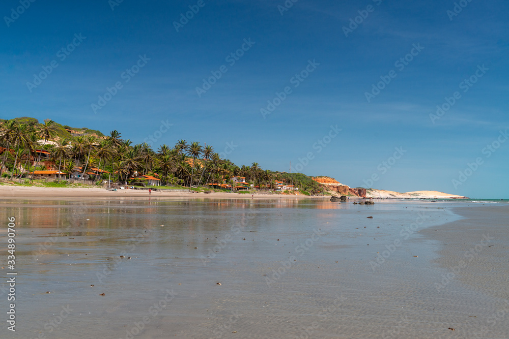 Coconut palms and summer houses in Peroba beach, Icapui, Ceara, Brazil on April 23, 2016 Coconut palms and summer houses in Peroba beach, Icapui, Ceara, Brazil on April 23, 2016