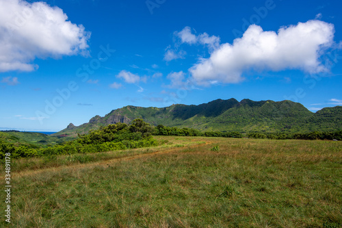 Image of Hawaii Mountain Landscape during Clear Skies