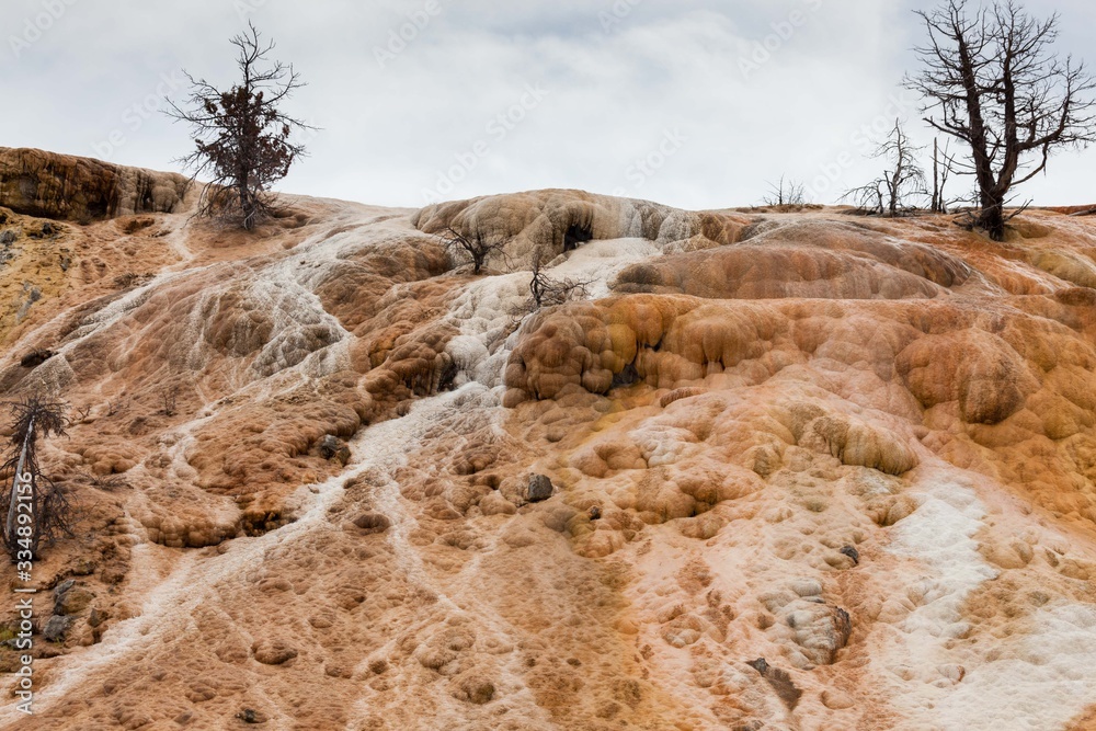 Travertine Terraces at Mammoth Hot Springs