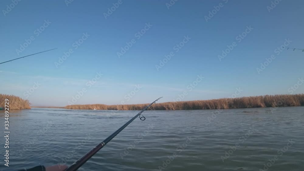 A fisherman catches predatory fish from a boat on a spinning on a river, first person view A fisherman catches predatory fish from a boat on a spinning on a river, first person view