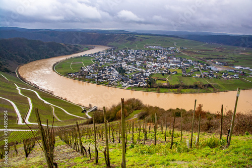 steep vineyards in piesport photo