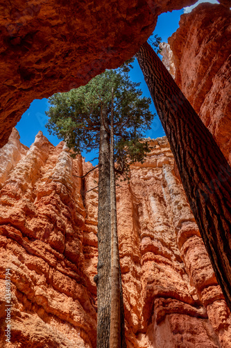 Bryce Canyon National Park
