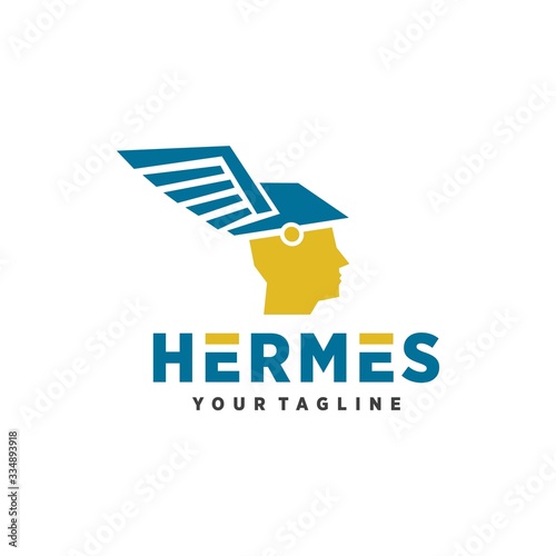 Hermes Logo icon and Vector